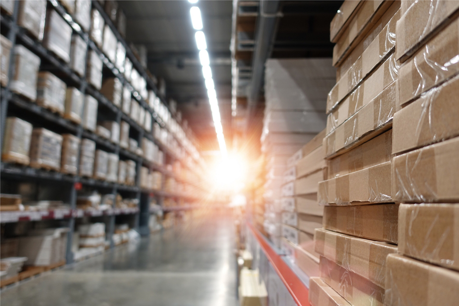 Full Service Warehouse Shelves